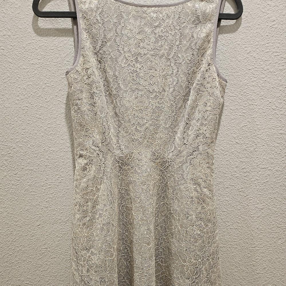 Elegant Lace Sleeveless Dress